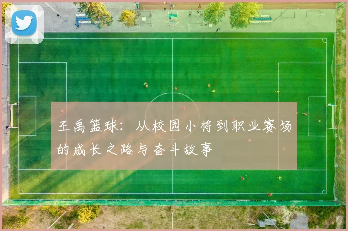 王禹篮球：从校园小将到职业赛场的成长之路与奋斗故事