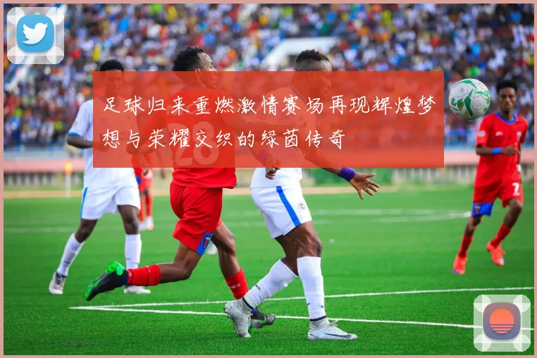 足球归来重燃激情赛场再现辉煌梦想与荣耀交织的绿茵传奇