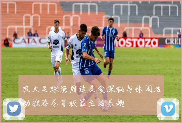 农大足球场周边美食探秘与休闲活动推荐尽享校园生活乐趣