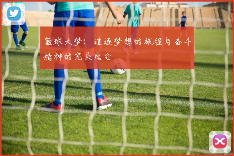 篮球大梦：追逐梦想的旅程与奋斗精神的完美结合