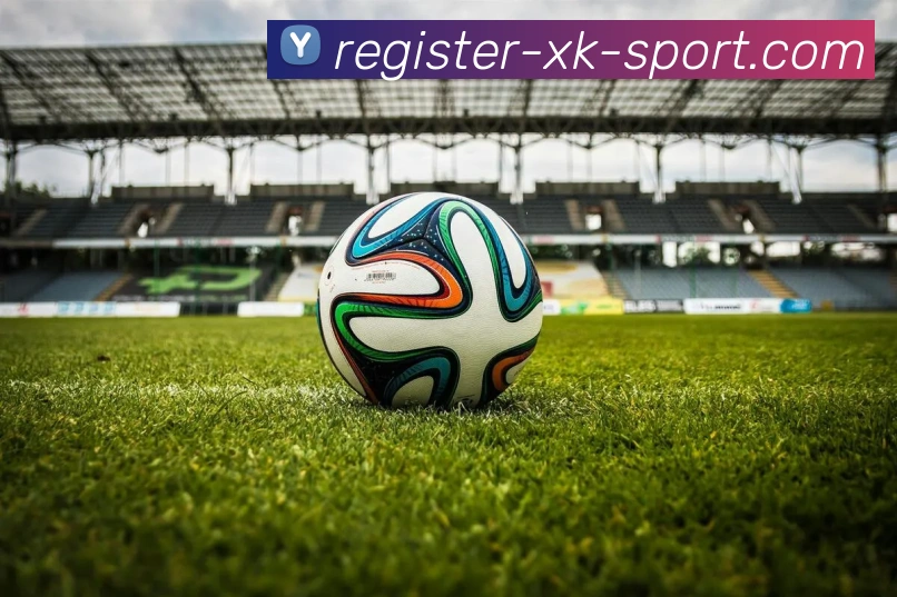 星空体育平台APP 封面图